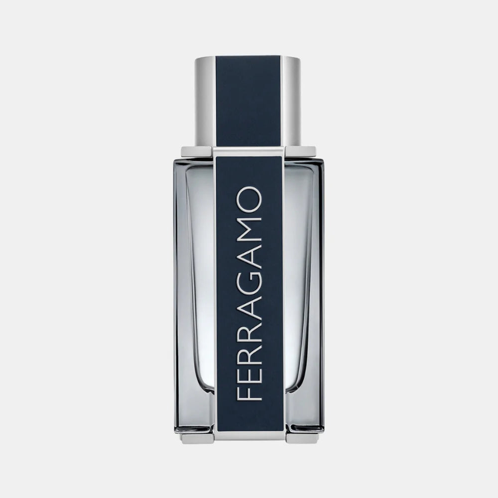 Perfume Ferragamo EDT 100 ml Hombre