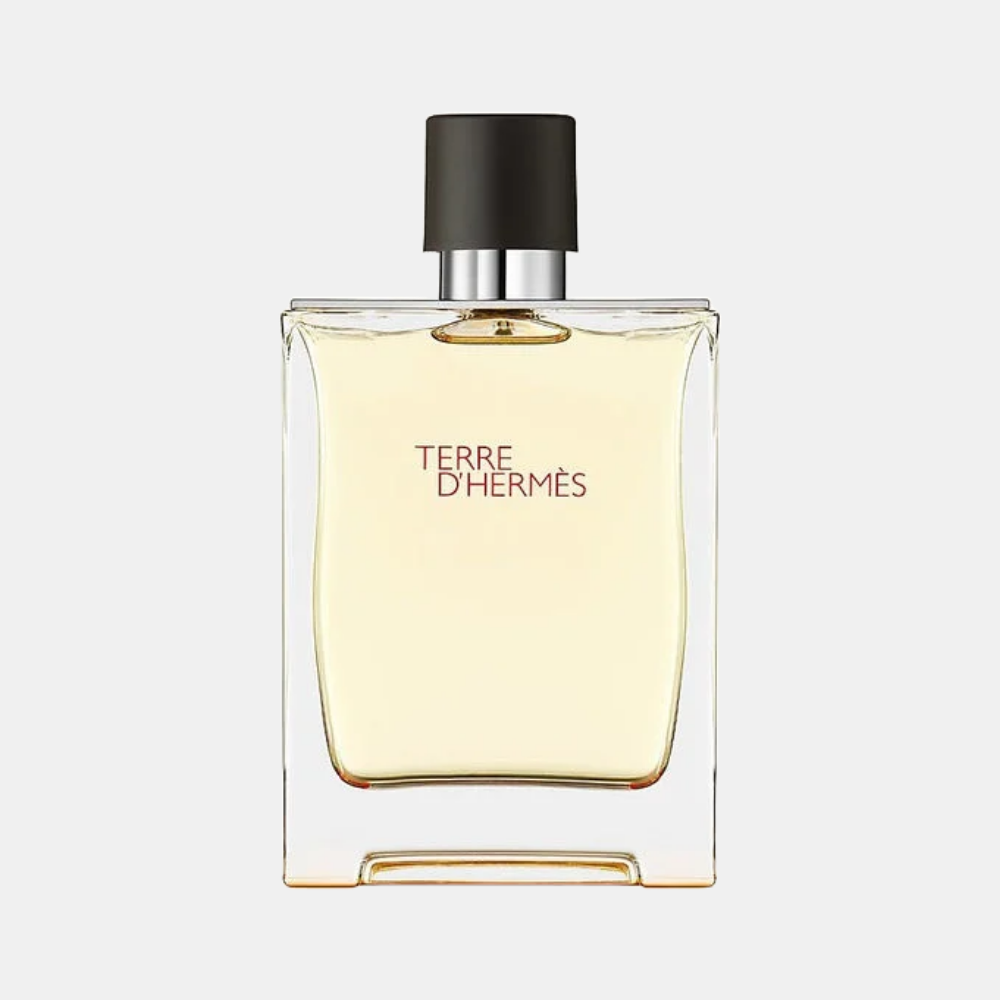 Perfume Hermes Terre D'Hermes EDT 100 ml Hombre
