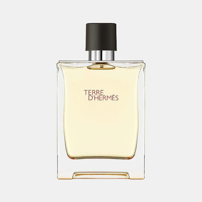 Perfume Hermes Terre D'Hermes EDT 100 ml Hombre